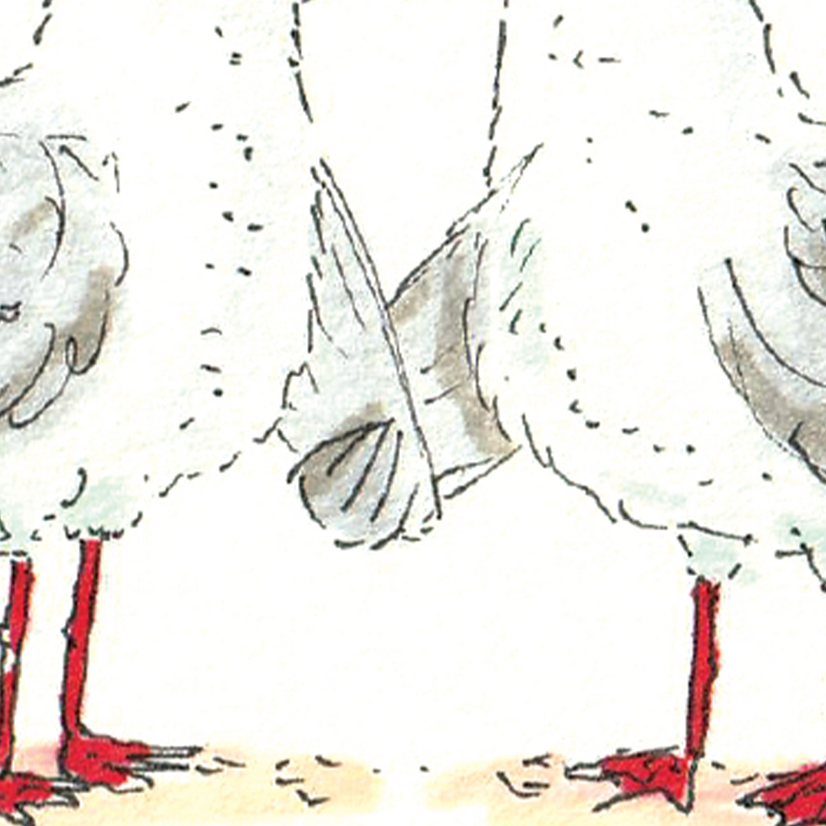 Happy Gullentines Day